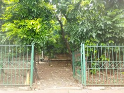 Heboh Hutan Kota Jaktim Jadi Tempat LGBT, Ada Kondom Bekas-Obat Kuat