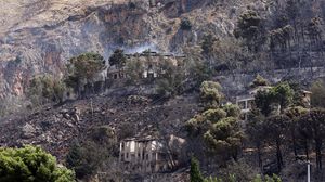Kebakaran Hutan Juga Terjadi di Italia, Dipicu Cuaca Panas Ekstrem
