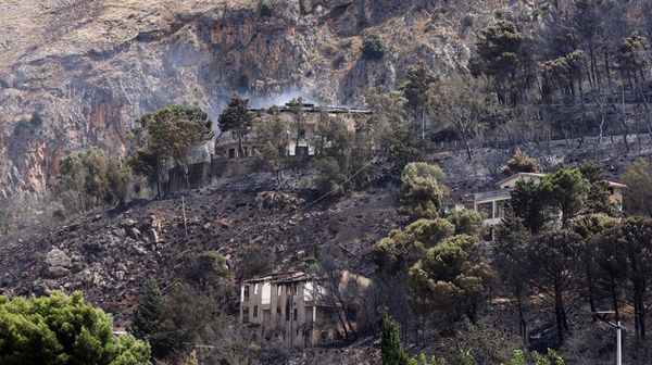 Kebakaran Hutan Juga Terjadi di Italia, Dipicu Cuaca Panas Ekstrem