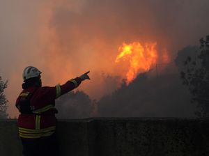 Ribuan Orang Diungsikan Imbas Kebakaran Hutan di Portugal