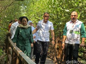 Surabaya Punya Wisata Baru, Kebun Raya Mangrove yang Diresmikan Megawati Surabaya Punya Wisata Baru, Kebun Raya Mangrove yang Diresmikan Megawati