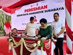 Megawati Resmikan Kebun Raya Mangrove Surabaya, Ada 57 Jenis Tanaman