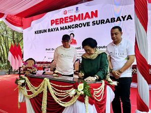 Megawati Resmikan Kebun Raya Mangrove Surabaya, Ada 57 Jenis Tanaman Megawati Resmikan Kebun Raya Mangrove Surabaya, Ada 57 Jenis Tanaman