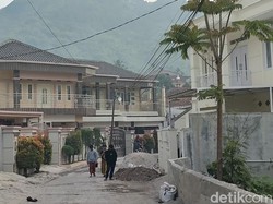 Miliarder Garut yang Berserakan di Kampung Pangauban