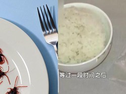 Pria Ini Nekat Simpan Kecoak di Mulut Demi Peras Restoran