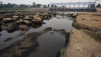 Sungai Cisadane Menyurut Gegara Kemarau dan Pintu Air Jebol