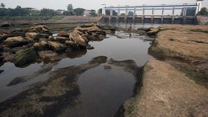 Sungai Cisadane Menyurut Gegara Kemarau dan Pintu Air Jebol