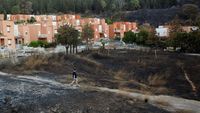 Dampak Kebakaran Hutan di Sisilia Italia