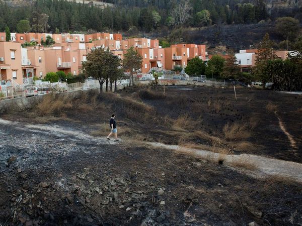 Dampak Kebakaran Hutan di Sisilia Italia
