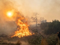 Juli-Agustus 2023 Bulan Terpanas Dalam Sejarah Bisa Ancam Manusia