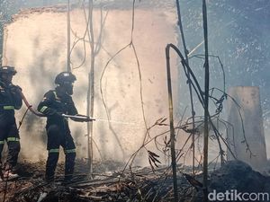 Maraknya Kasus Kebakaran Kandang Ayam di Kuningan