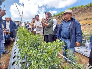 Kementan Kawal Budi Daya Cabai-Bawang Merah Ramah Lingkungan di Solok Kementan Kawal Budi Daya Cabai-Bawang Merah Ramah Lingkungan di Solok