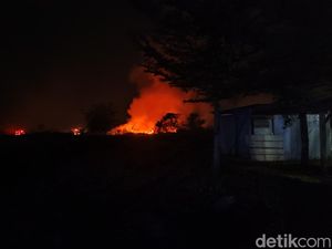 Padang Ilalang di Pantai Marina Semarang Terbakar, 3 Mobil Damkar Dikerahkan Padang Ilalang di Pantai Marina Semarang Terbakar, 3 Mobil Damkar Dikerahkan