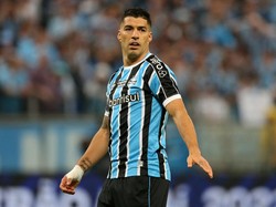 Gremio Takkan Lepas Suarez ke Inter Miami di Musim Panas Ini