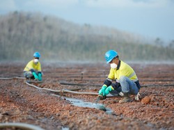 Pekerja Tambang Banyuwangi Utamakan Standar Keselamatan Sejak Dini
