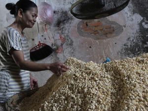 Perajin Tempe Keluhkan LPG Langka di Malang Perajin Tempe Keluhkan LPG Langka di Malang