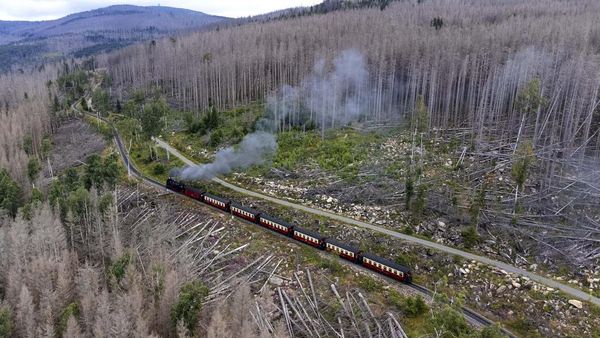 Menjelajah Pegunungan Harz Menggunakan Kereta Uap, Seru Banget