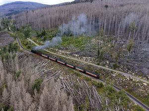 Menjelajah Pegunungan Harz Menggunakan Kereta Uap, Seru Banget