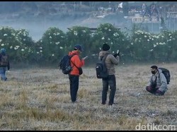 Suhu Dieng -3,5 Derajat Celcius, Wisatawan Malah Happy Lihat Embun Es