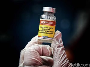 Peringati Hari Rabies, Pemkot Bandung Siapkan Vaksin Gratis Peringati Hari Rabies, Pemkot Bandung Siapkan Vaksin Gratis