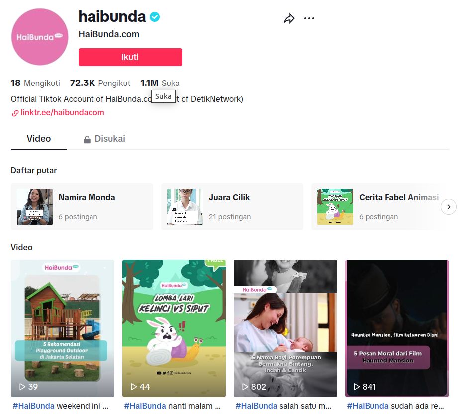Akun TikTok Edukasi Seru