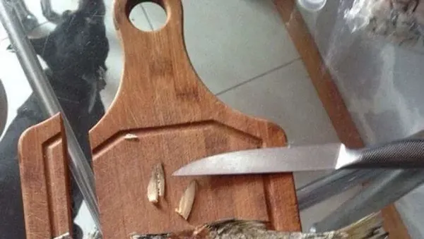 10 Momen Masak Nyeleneh, Gosong hingga Tak Sesuai Cetakan