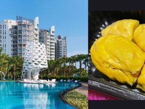 Duh! Turis Ini Hampir Kena Denda Rp 5,7 Juta Gegara Bawa Durian ke Hotel