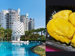 Duh! Turis Ini Hampir Kena Denda Rp 5,7 Juta Gegara Bawa Durian ke Hotel