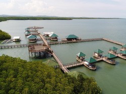 Nikmati Akhir Pekan, Yuk Manjakan Mata di Hutan Mangrove Tongke-Tongke