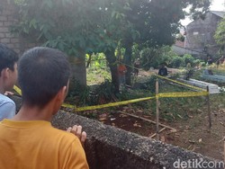 Heboh Kuburan Dipenuhi Lalat di Bogor, Diduga Berisi Jasad Bayi