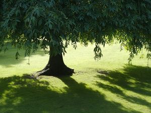 Rasulullah Larang Duduk di Antara Tempat Teduh dan Terik Rasulullah Larang Duduk di Antara Tempat Teduh dan Terik