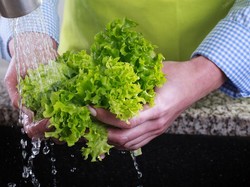 Apa Selada Perlu Dicuci Sebelum Dimakan? Ini Penjelasannya