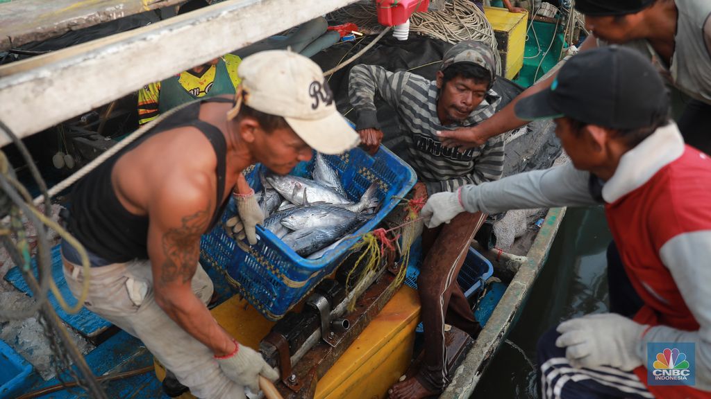 Seorang pekerja/buruh membawa ikan nan diturunkan dari kapal di Muara Angke, Jakarta, Jumat, (28/7). (CNBC Indonesia/Muhammad Sabki)