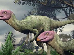 Spesies Baru Dinosaurus Berwajah Pink Ditemukan di Thailand