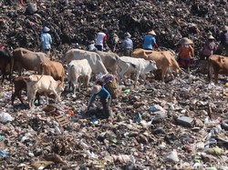 Kemen PUPR Ikut Pelototi TPA Piyungan yang Over Kapasitas