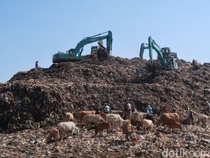 Yogya Darurat Sampah, Pakar UGM: Terus Berulang tapi Belum Ada Solusi Tepat