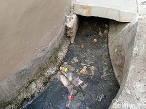 Warga Pelapor Pencemaran Kotoran Sapi Pancoran: Masalah Belum Tuntas