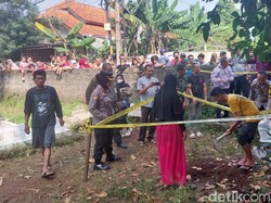 Kuburan Bikin Geger Warga di Bogor Dibongkar, Ternyata Isinya Kucing