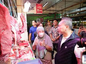 Zulhas Cek Harga Bahan Pokok di Pasar Santa