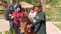 Jan Ethes Pegang Ular, La Lembah Naik Kuda di Senam Pentas Ceria Anak Indonesia
