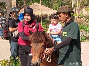 Jan Ethes Pegang Ular, La Lembah Naik Kuda di Senam Pentas Ceria Anak Indonesia Jan Ethes Pegang Ular, La Lembah Naik Kuda di Senam Pentas Ceria Anak Indonesia