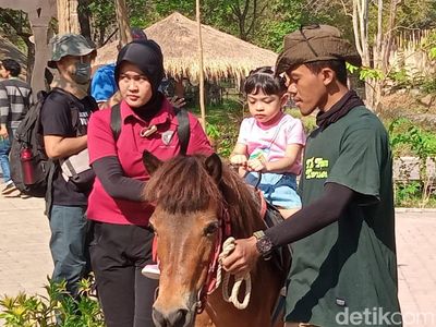 Jan Ethes Pegang Ular, La Lembah Naik Kuda di Senam Pentas Ceria Anak Indonesia