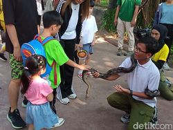 Aksi Menggemaskan Jan Ethes Pegang Ular Hingga Naik Kuda Poni