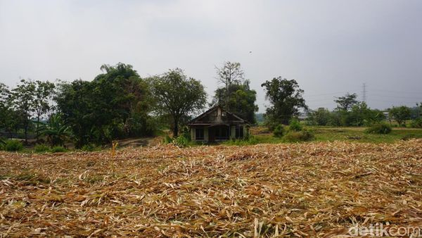 Penampakan Kampung Hilang di Mojokerto
