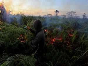 BMKG Deteksi 89 Hotspot di Lampung, Paling Rawan Nomor 3 se-Sumatera