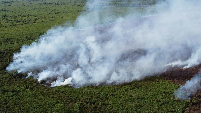 Tekan Karhutla di Sumsel, BNPB Lakukan Teknik Modifikasi Cuaca
