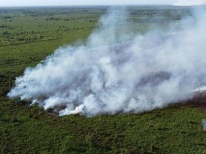 KLHK Menang di Perkara Karhutla, Perusahaan Sawit Harus Ganti Rugi Rp 175 M KLHK Menang di Perkara Karhutla, Perusahaan Sawit Harus Ganti Rugi Rp 175 M