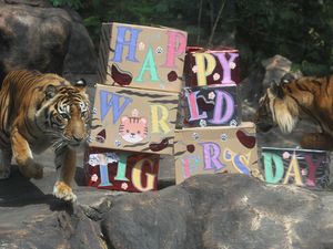Batu Secret Zoo Gelar Peringatan Hari Harimau Sedunia Batu Secret Zoo Gelar Peringatan Hari Harimau Sedunia