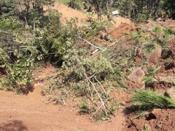 Tebing Setinggi 150 Meter di Cianjur Longsor, Seorang Petani Tertimbun
