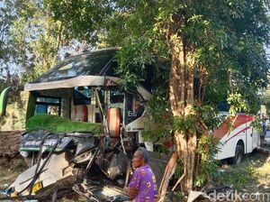 Hindari Kendaraan, Bus Murni Jaya Ringsek Tabrak Pohon di Bayan Purworejo Hindari Kendaraan, Bus Murni Jaya Ringsek Tabrak Pohon di Bayan Purworejo